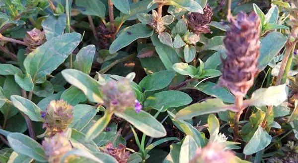 云南之旅，遇见嘉宾与观众朋友的精彩瞬间