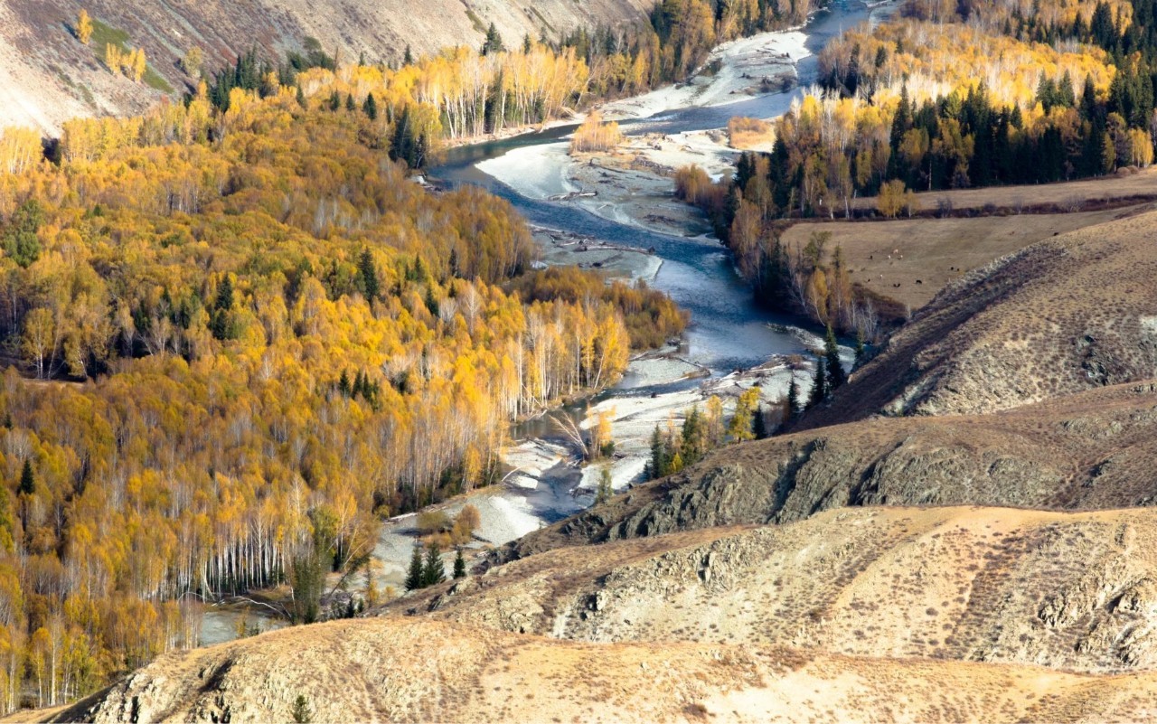 新疆，嘉宾与友朋共聚一堂