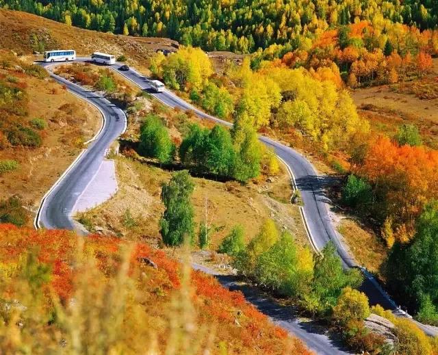 丝路明珠新疆，民族融合典范之旅